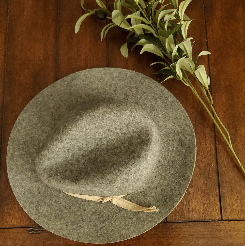 Old Navy Felt Hat